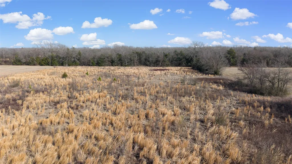 7 .95 Ac County Road 2426 Como TX 75431