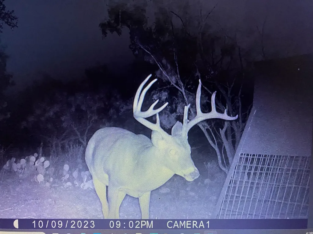 Tbd Cntty Road 291 Breckenridge TX 76464
