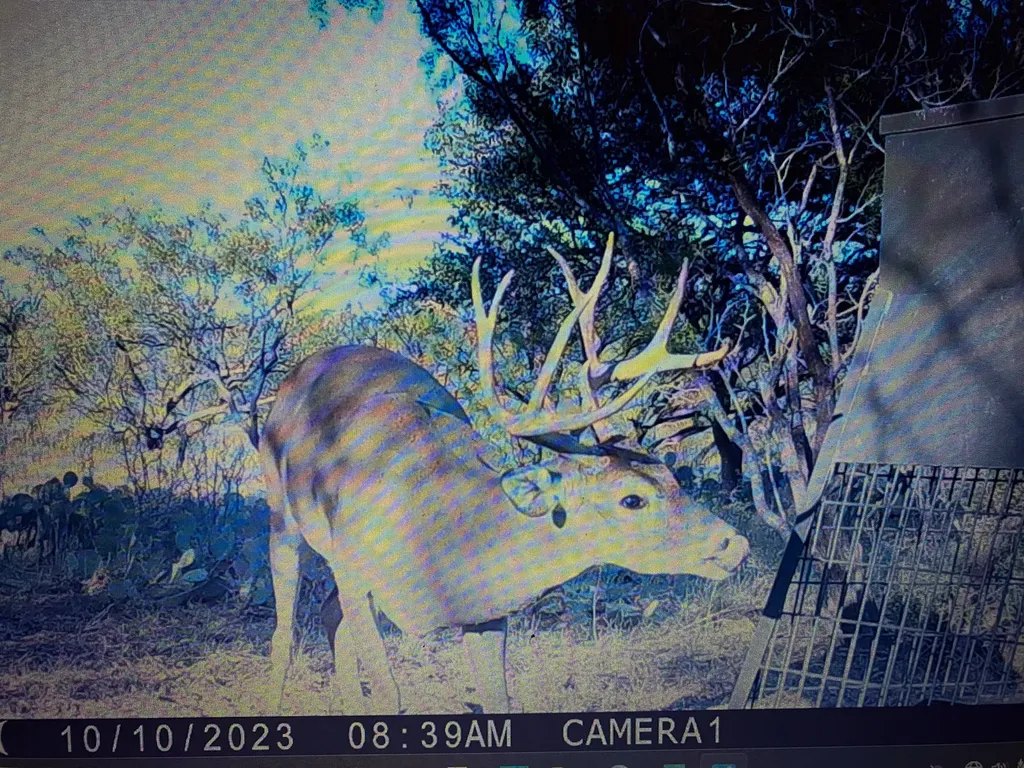 Tbd Cntty Road 291 Breckenridge TX 76464