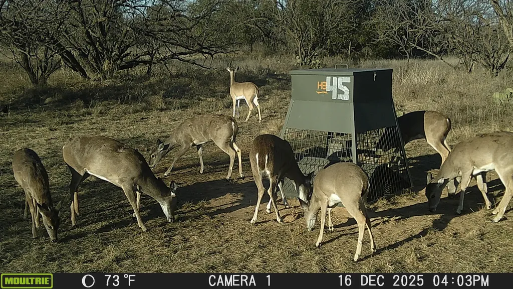 Tbd Cntty Road 291 Breckenridge TX 76464