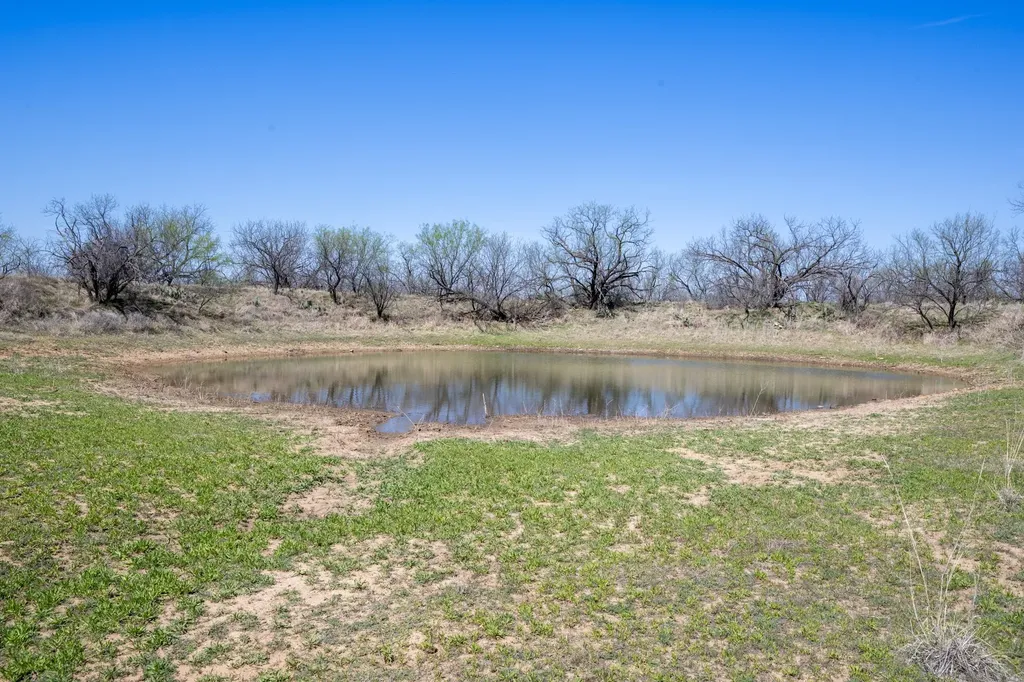 Tbd County Road 291 Breckenridge TX 76464