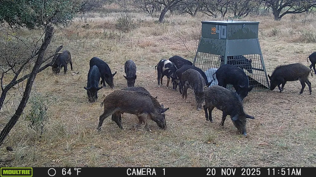 Tbd Cnty Road 291 Breckenridge TX 76464