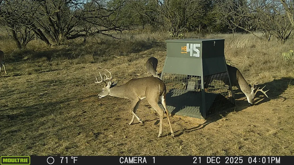 Tbd Cnty Road 291 Breckenridge TX 76464
