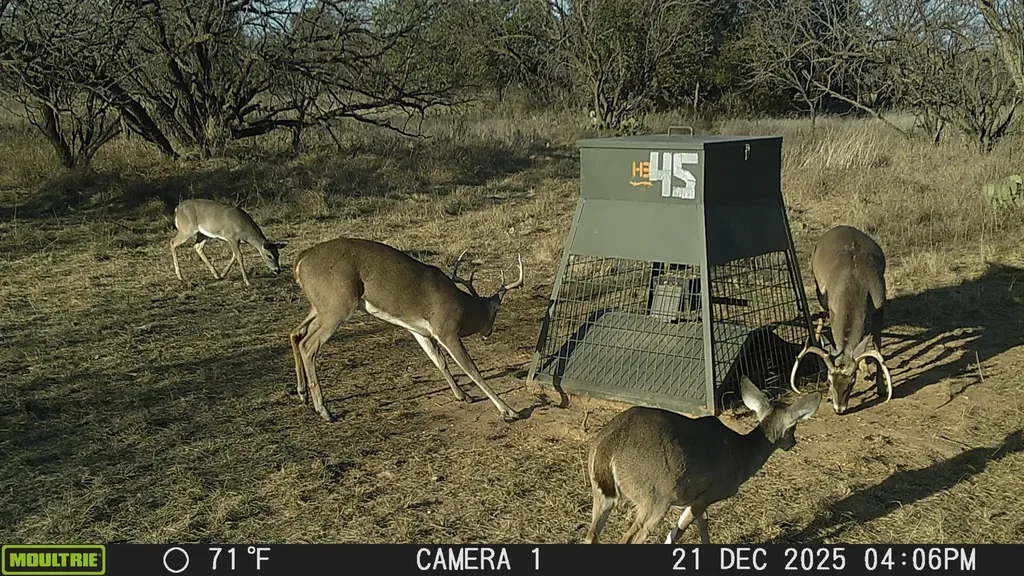 Tbd Cnty Road 291 Breckenridge TX 76464