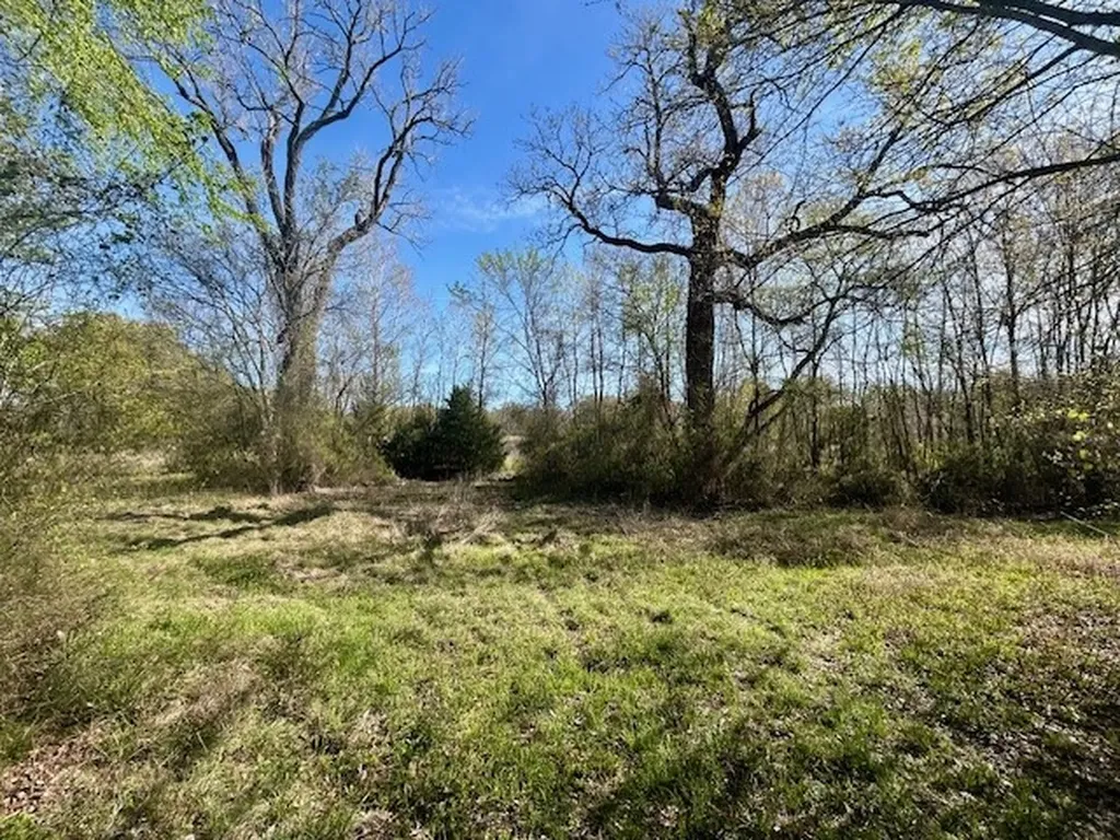 Tbd Fm 1512 Jewett TX 75846