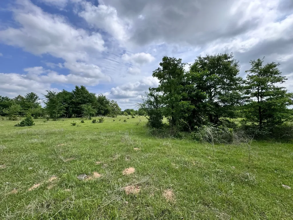 Tbd County Road 2415 Honey Grove TX 75446