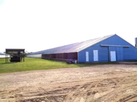Tbd Woodchuck Winnsboro TX 75494
