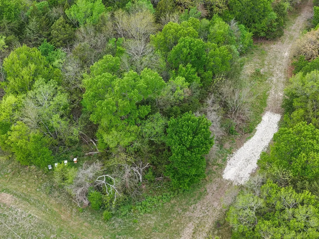 Tbd Fm 709 S Purdon TX 76679