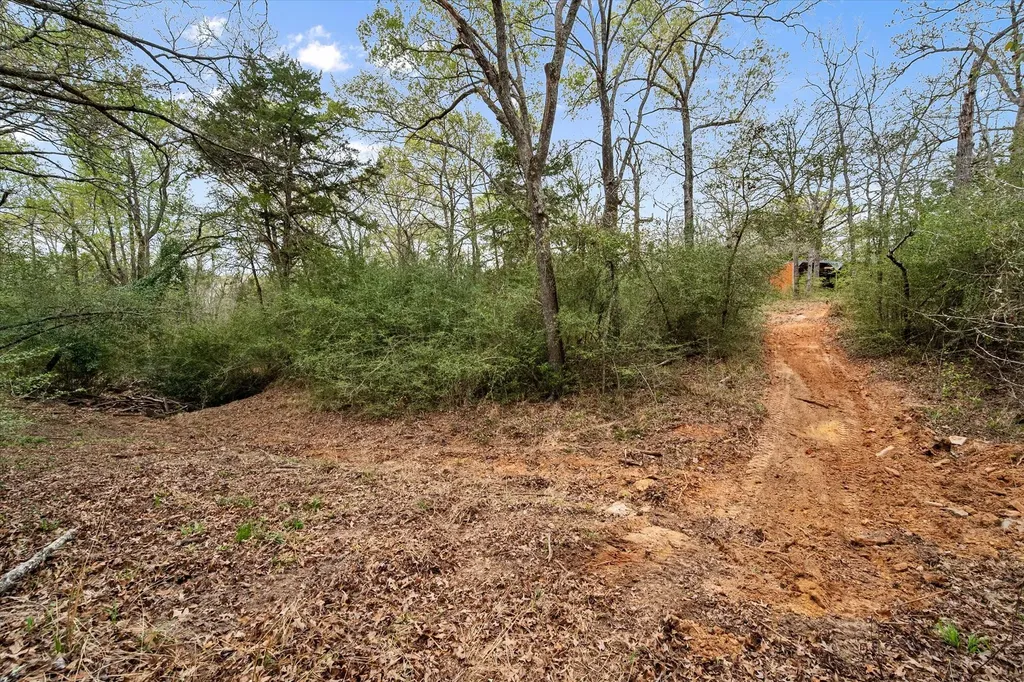 2144 Pr 3015 Buffalo TX 75831