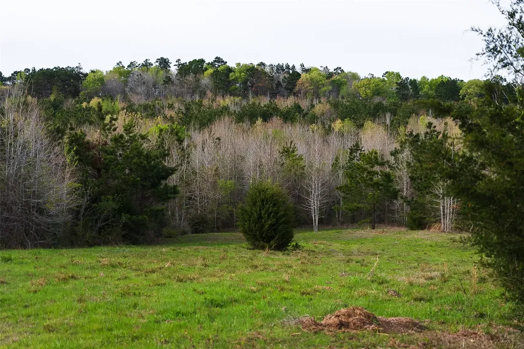 0 Off Of County Road 839 Nacogdoches TX 75964