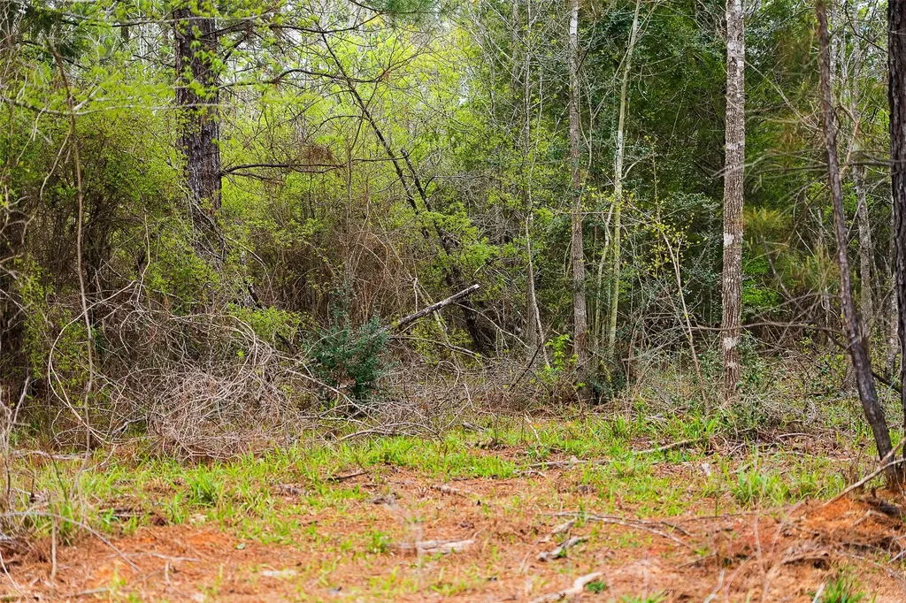 0 Off Of County Road 839 Nacogdoches TX 75964