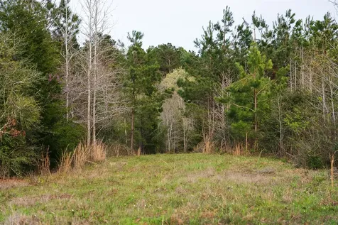 0 Off Of County Road 839 Nacogdoches TX 75964
