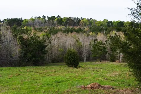 0 Off Of County Road 839 Nacogdoches TX 75964