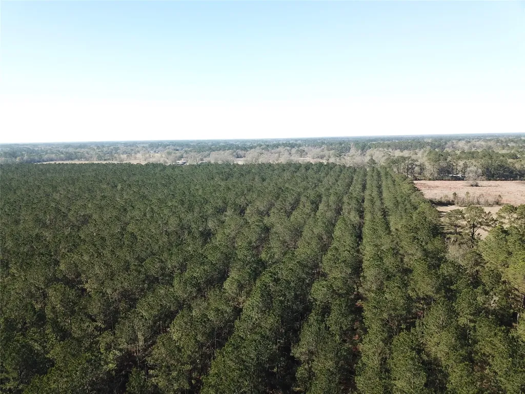 00 Corrigan Road Vidor TX 77662