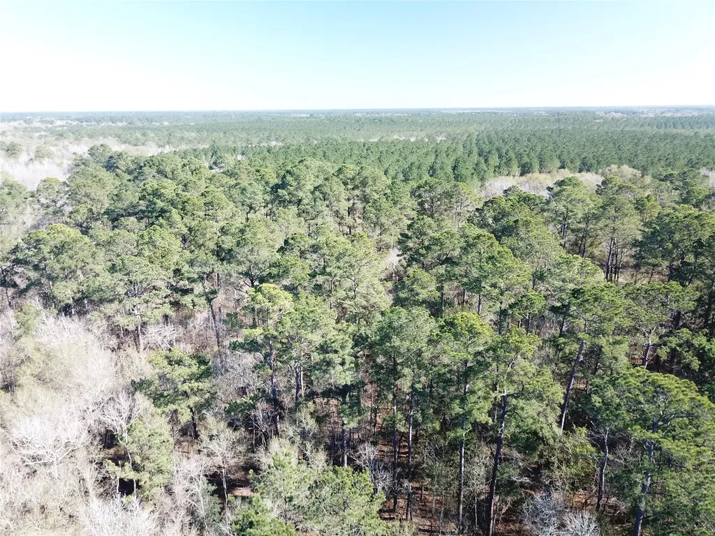 00 Corrigan Road Vidor TX 77662