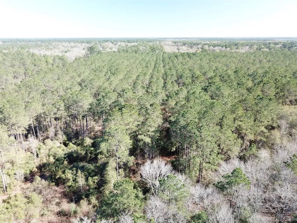00 Corrigan Road Vidor TX 77662