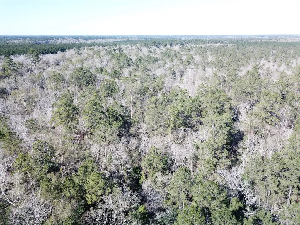 00 Corrigan Road Vidor TX 77662