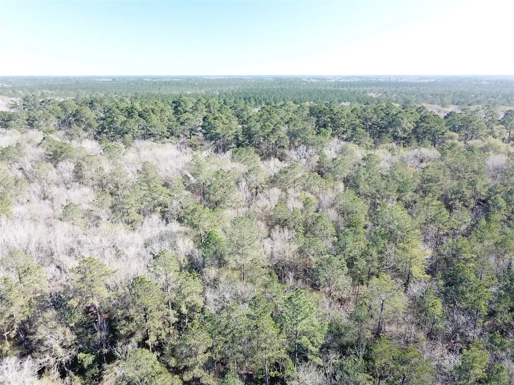 00 Corrigan Road Vidor TX 77662