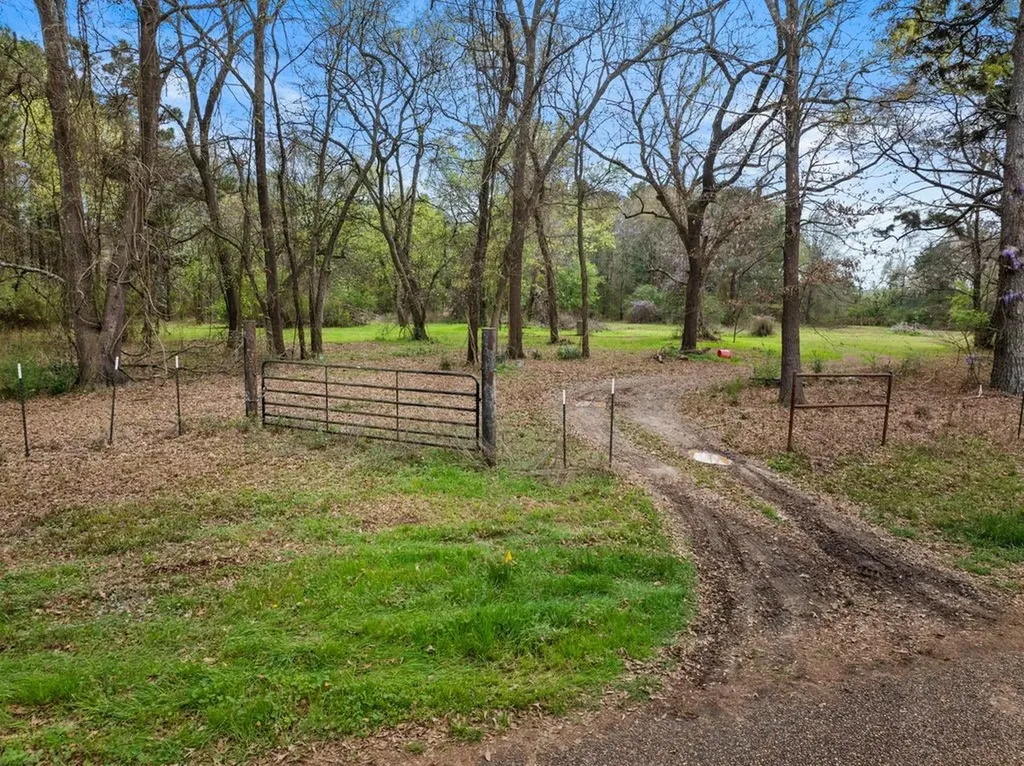 CR1124 Old Hwy 11 Road Daingerfield TX 75638