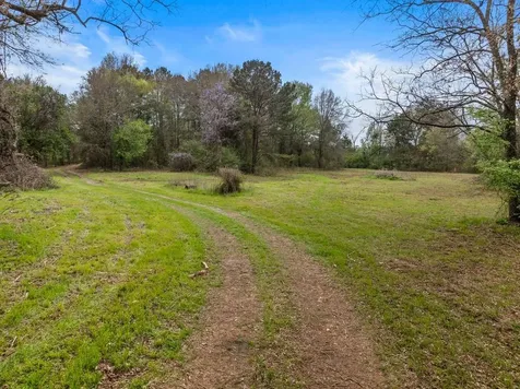 CR1124 Old Hwy 11 Road Daingerfield TX 75638