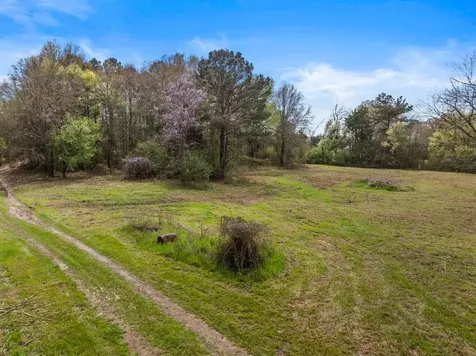 CR1124 Old Hwy 11 Road Daingerfield TX 75638