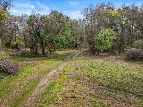 CR1124 Old Hwy 11 Road Daingerfield TX 75638