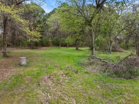 CR1124 Old Hwy 11 Road Daingerfield TX 75638