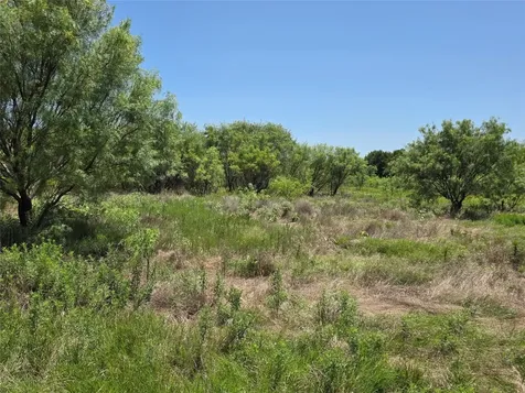 1000 County Road 375 Rising Star TX 76471