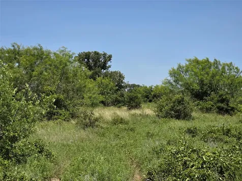 1000 County Road 375 Rising Star TX 76471