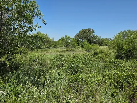 1000 County Road 375 Rising Star TX 76471