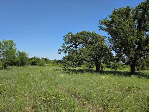 1000 County Road 375 Rising Star TX 76471