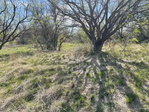 Tbd C R 195 Breckenridge TX 76424