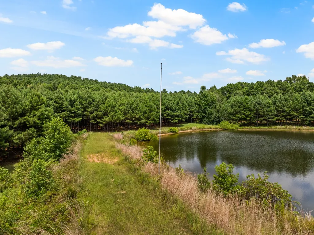 140 County Road 2242 Daingerfield TX 75638