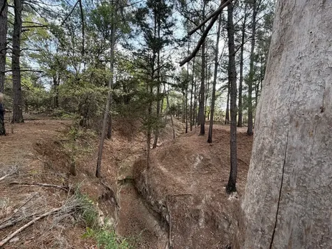 2548 County Road 2690 Alvord TX 76225