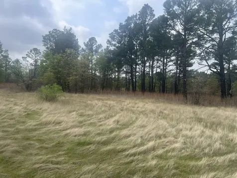 2548 County Road 2690 Alvord TX 76225