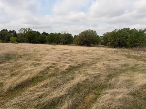 2548 County Road 2690 Alvord TX 76225