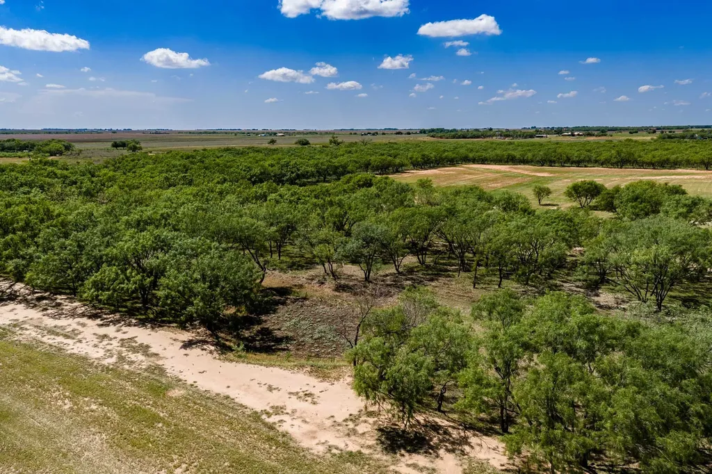4946 County Road 410 Hawley TX 79525