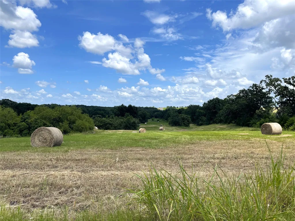 Tbd Highway 164 Donie TX 75838