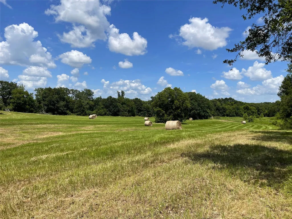 Tbd Highway 164 Donie TX 75838