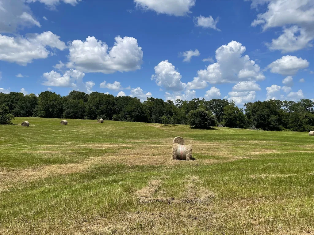 Tbd Highway 164 Donie TX 75838