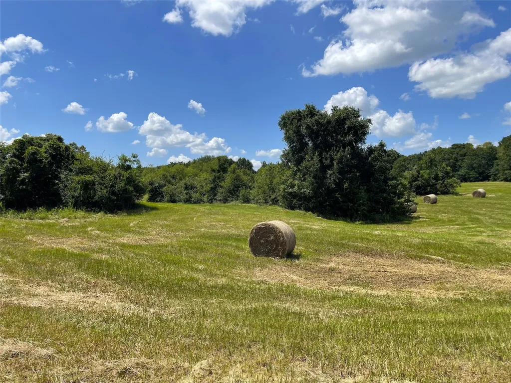 Tbd Highway 164 Donie TX 75838