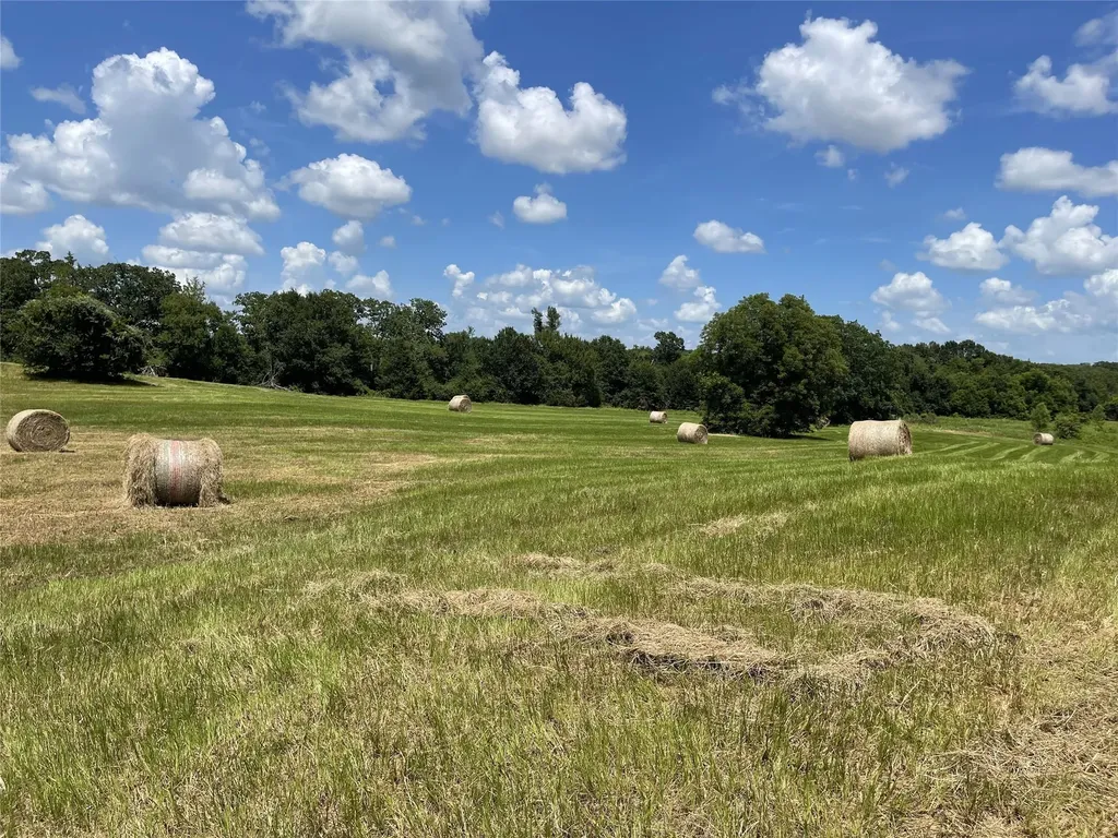 Tbd Highway 164 Donie TX 75838