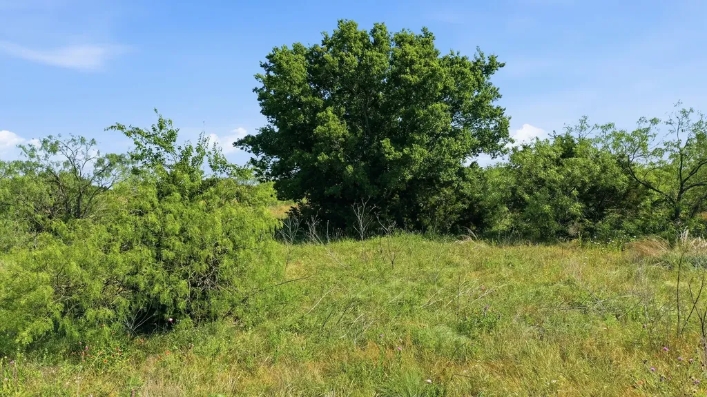 Tbd Private 191 Road Blum TX 76627
