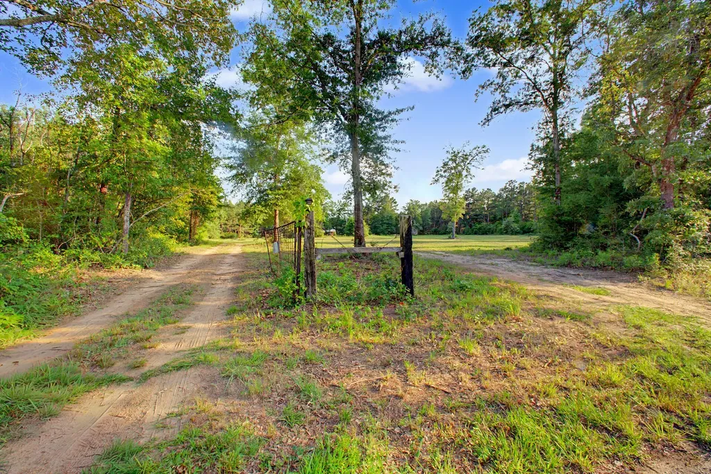 2874 An County Road Palestine TX 75803