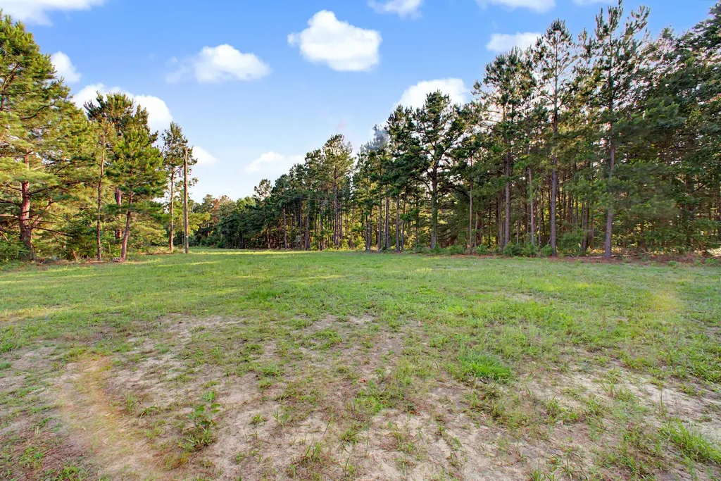 2874 An County Road Palestine TX 75803
