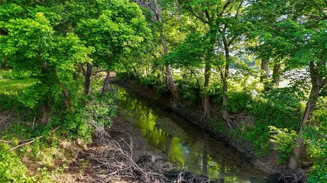 1148 County Road 1591 Alvord TX 76225