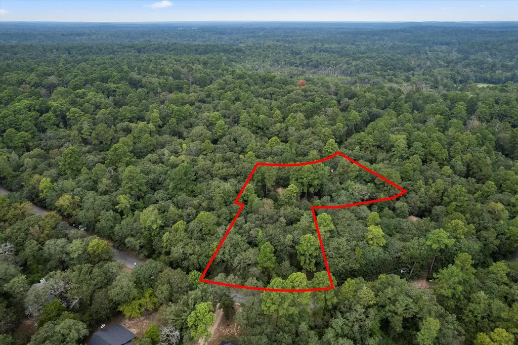 177 Woodfern Glen Holly Lake Ranch TX 75765