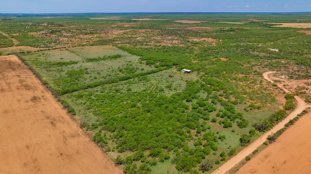 Tbd 179 County Road 161 Trent TX 79561