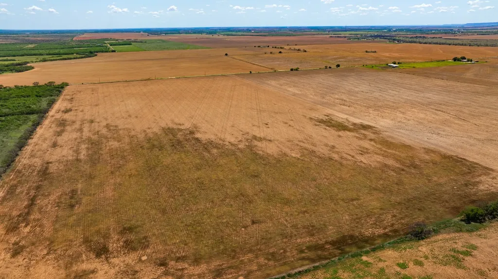 Tbd 179 County Road 161 Trent TX 79561