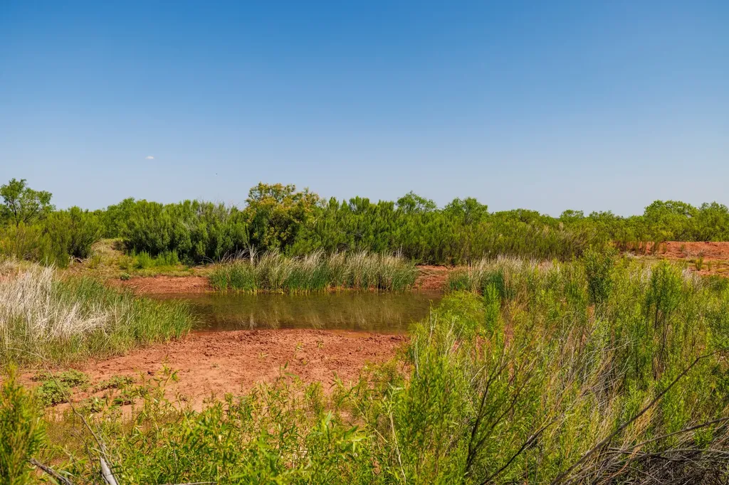 Tbd 179 County Road 161 Trent TX 79561